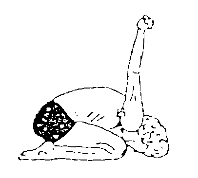 Übung 10