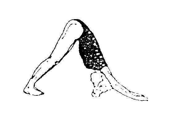 Übung 11