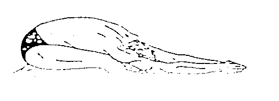 Übung 3