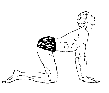 Übung 4