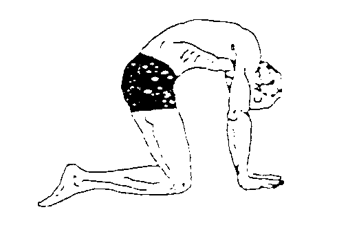 Übung 5
