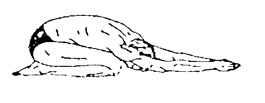 Übung 9